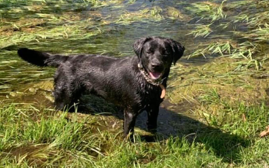 Jessica having a paddle!